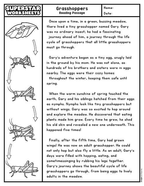 adult reading worksheets