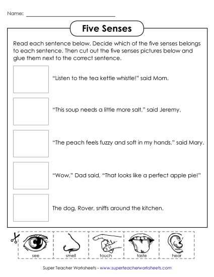 five senses reading comprehension worksheets