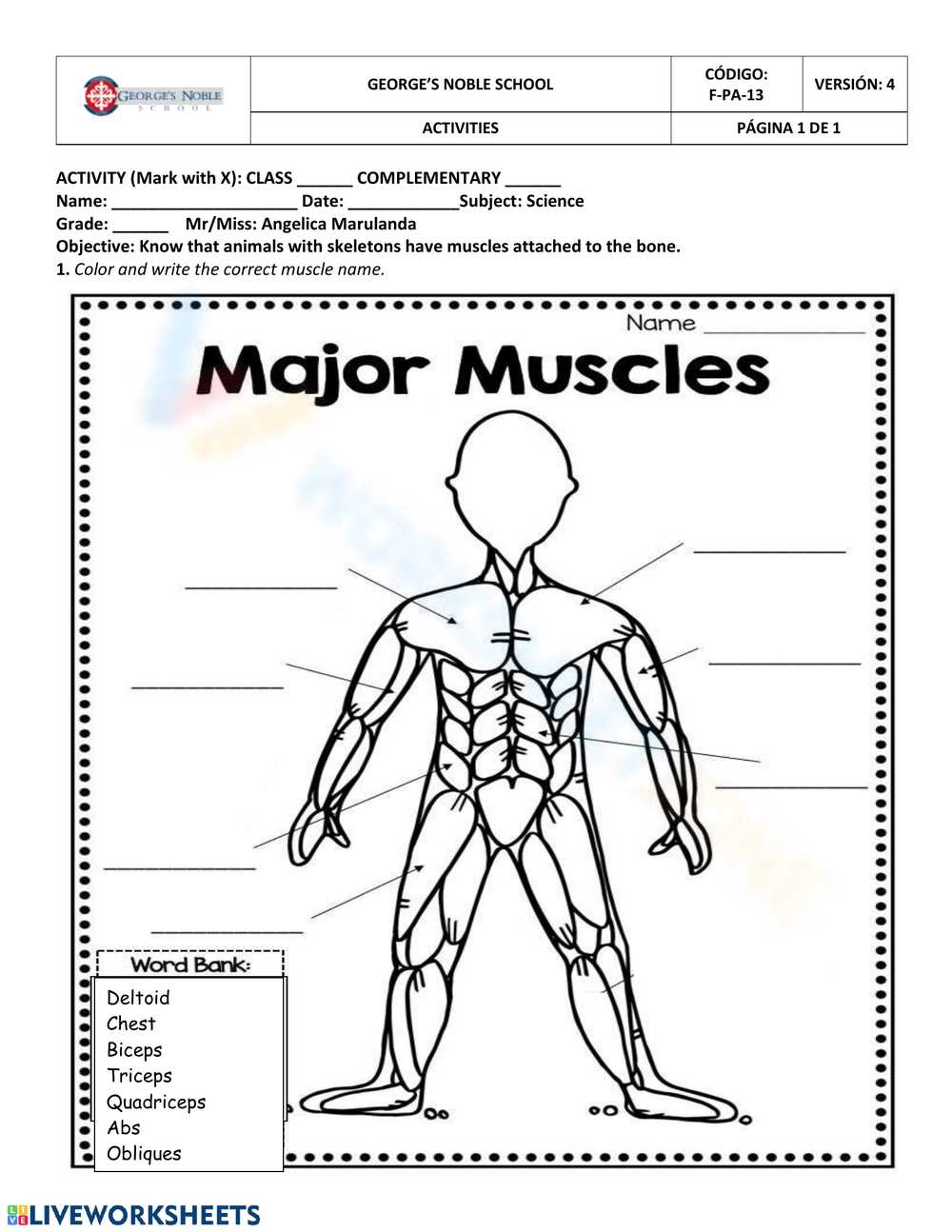 label the muscular system worksheet