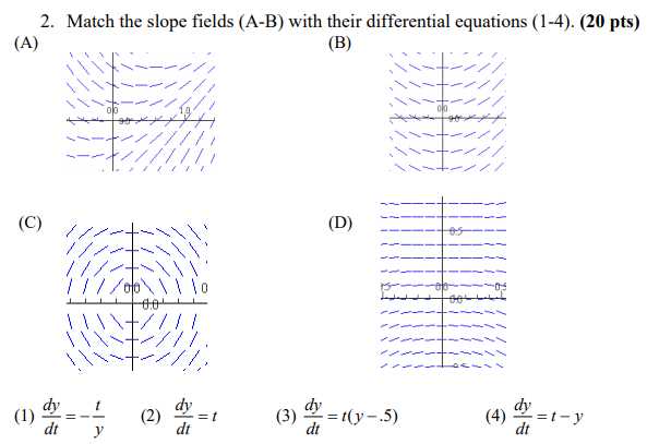 slope field matching worksheet