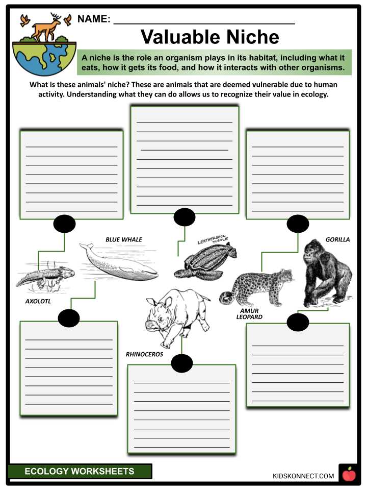ecology levels of organization worksheet