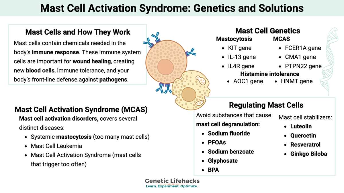 animal genetics worksheet 8th grade ag tech