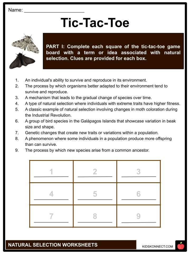 adaptation and variation worksheet