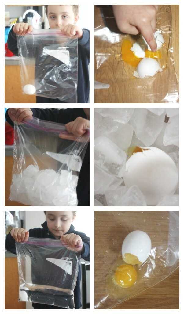 egg drop challenge worksheet