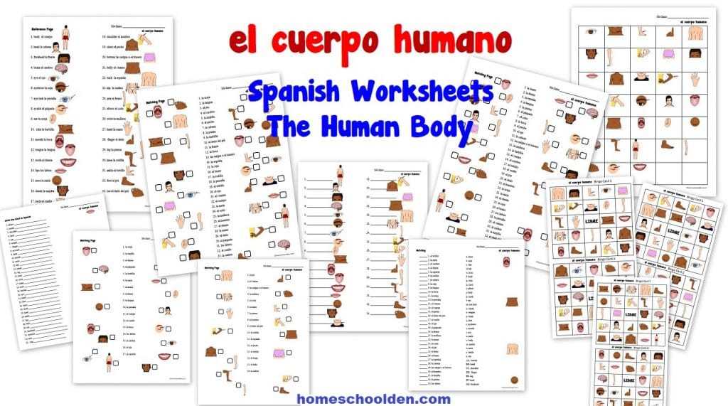 el and la spanish worksheet
