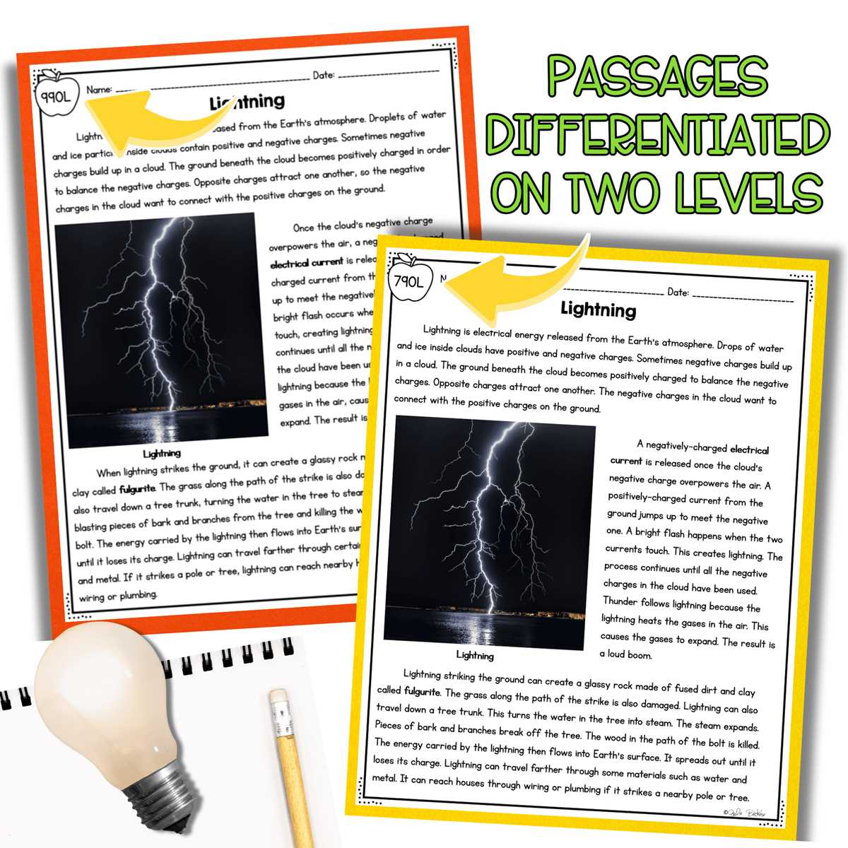 energy flow worksheet ngss life science 2026