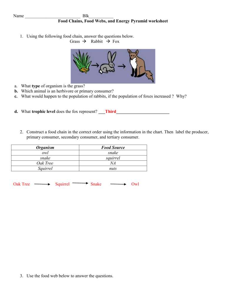 energy pyramid worksheet