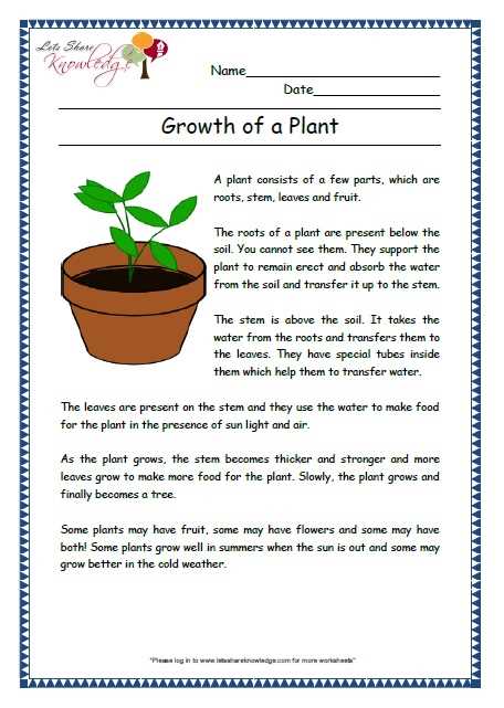 english practice worksheets for class 2 english practice worksheets for class 2