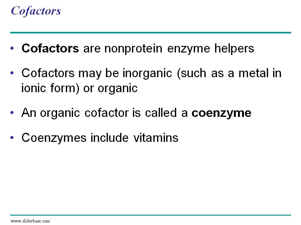 enzyme cofactors and inhibitors worksheet
