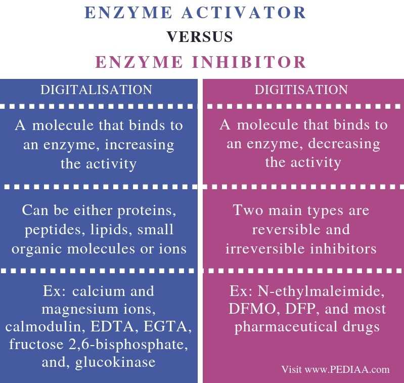 enzyme cofactors and inhibitors worksheet