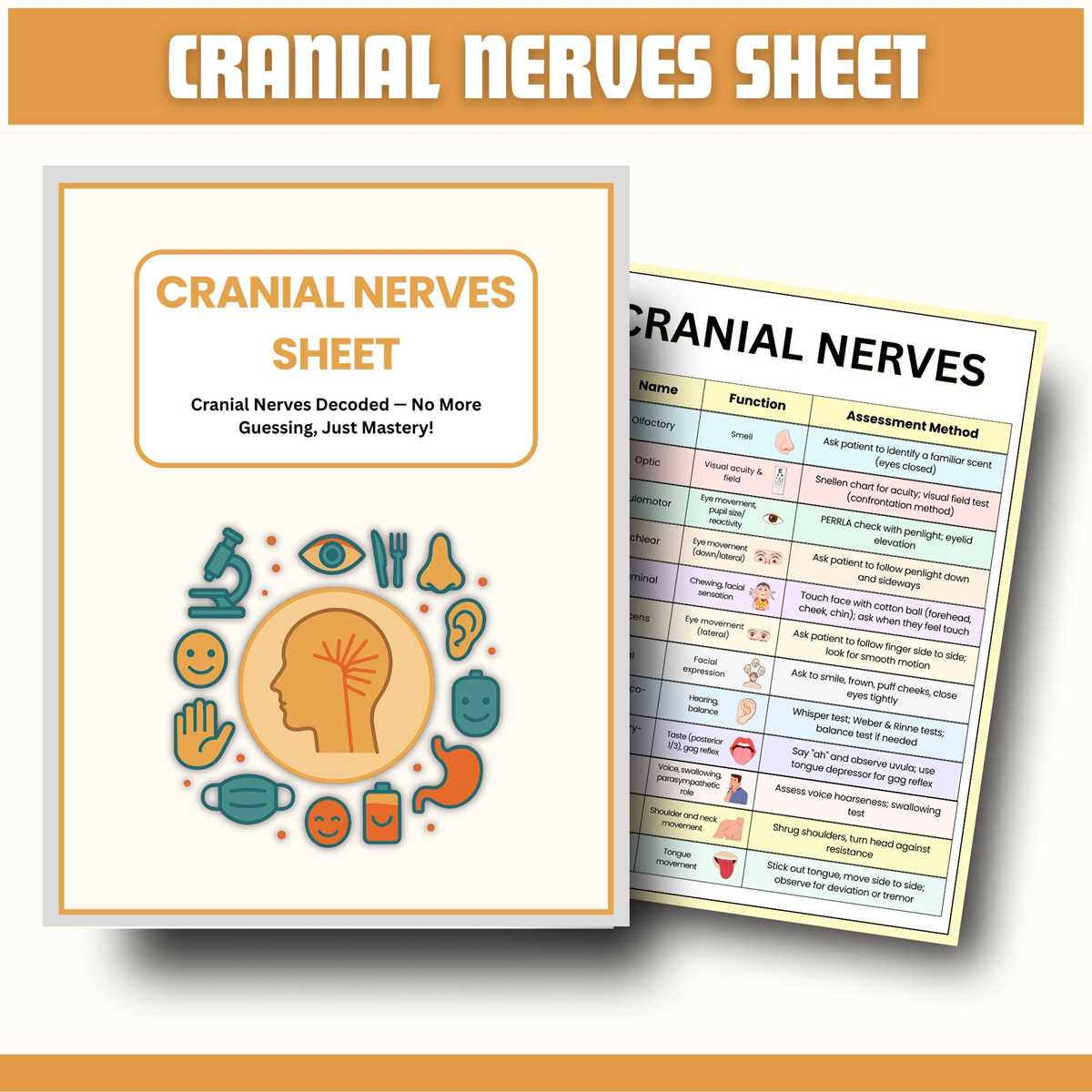 cranial nerves chart worksheet cranial nerves chart worksheet