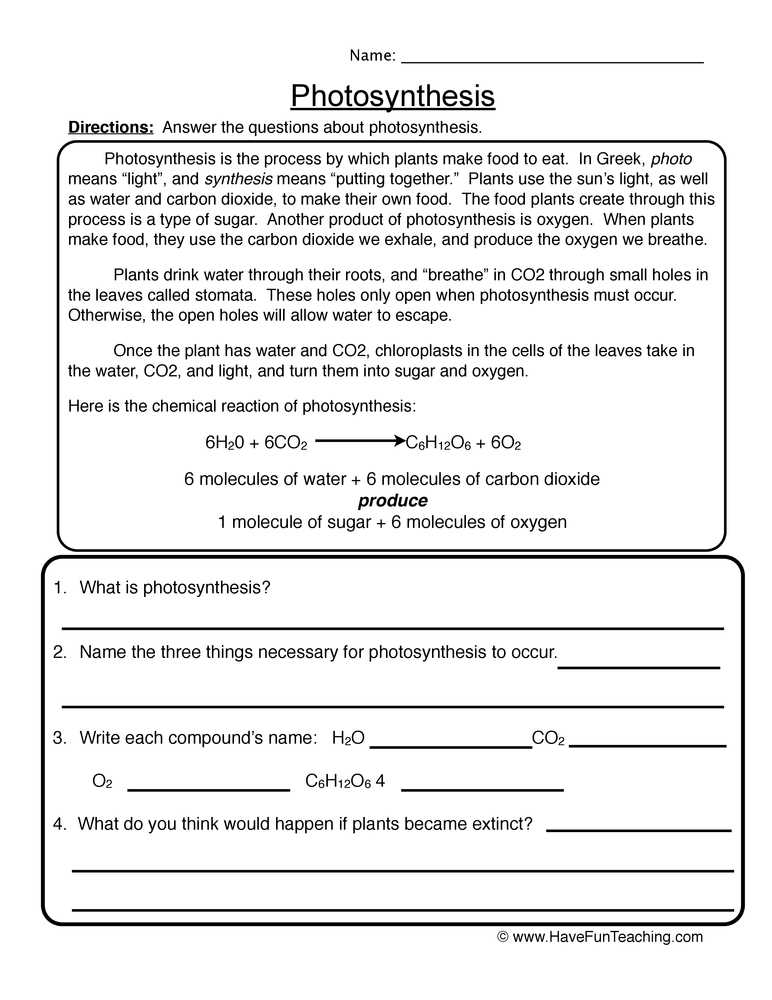 photosynthesis worksheets