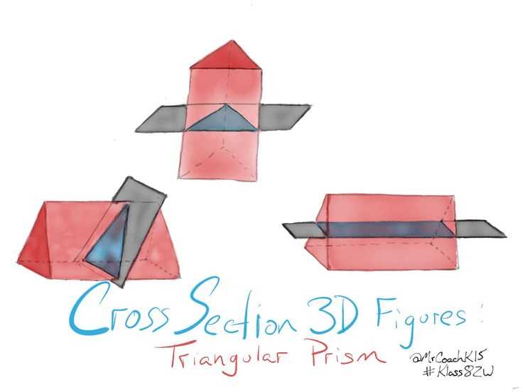 cross section of solids worksheets