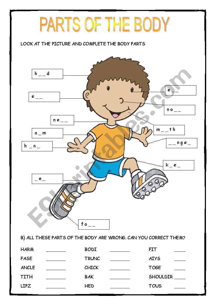 esl parts of the body worksheet