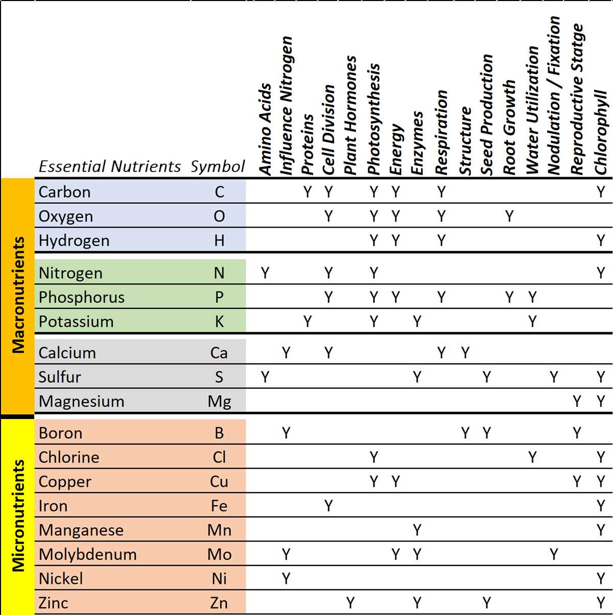 essential plant nutrients worksheet