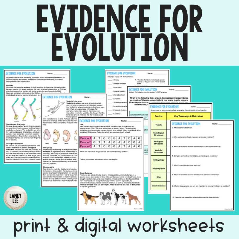 evidence for the theory of evolution worksheet