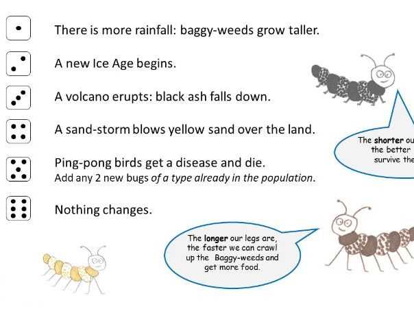 evolution and adaptation worksheet