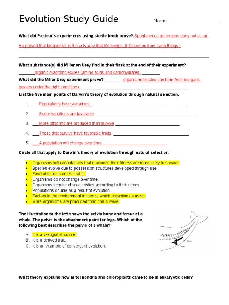 evolution study guide worksheet