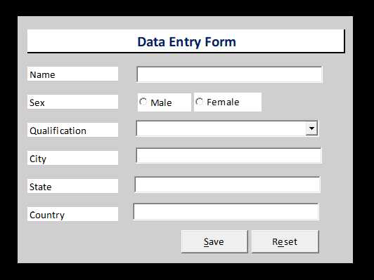excel worksheet data entry form