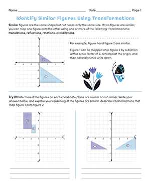 similar triangles on a coordinate plane worksheet