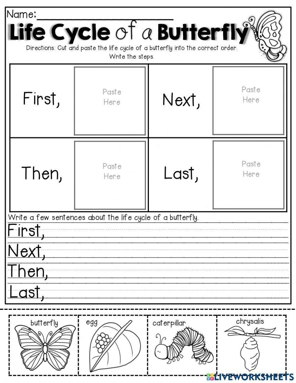 life cycle of a butterfly cut and paste worksheet