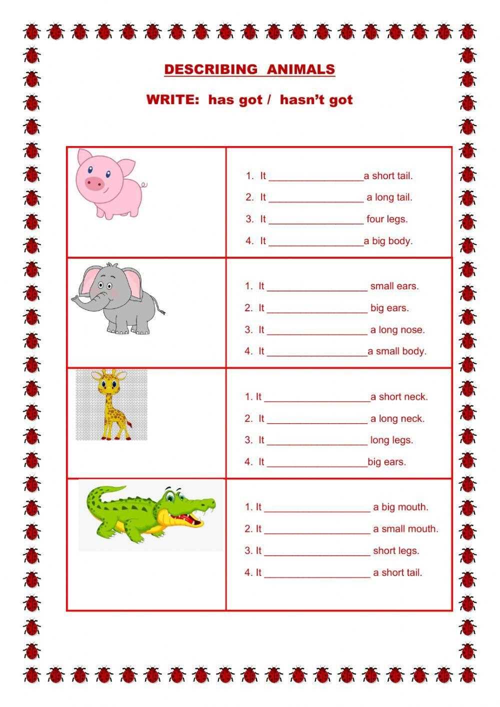 describe animals worksheets