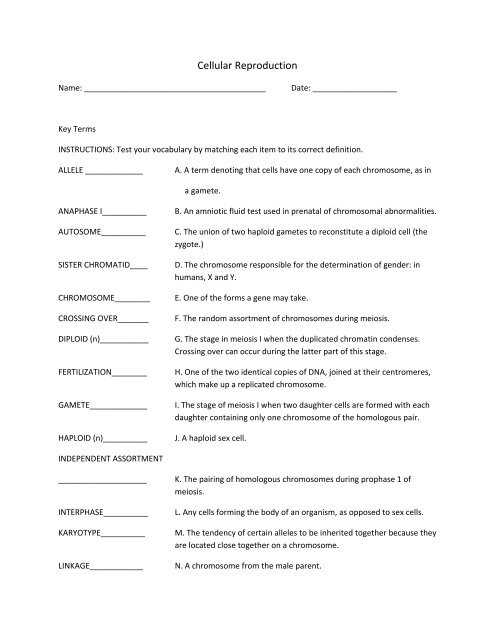 fertilisation worksheet