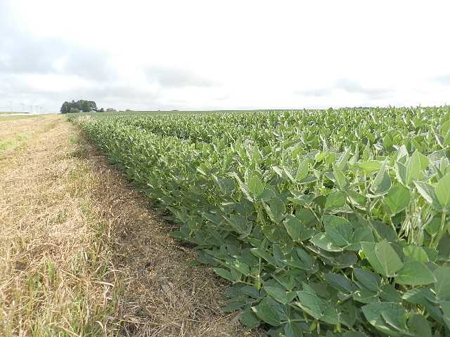 fertilizers and soil amendments worksheet
