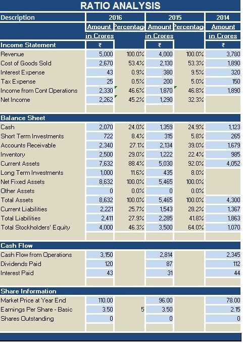 financial ratio analysis worksheet