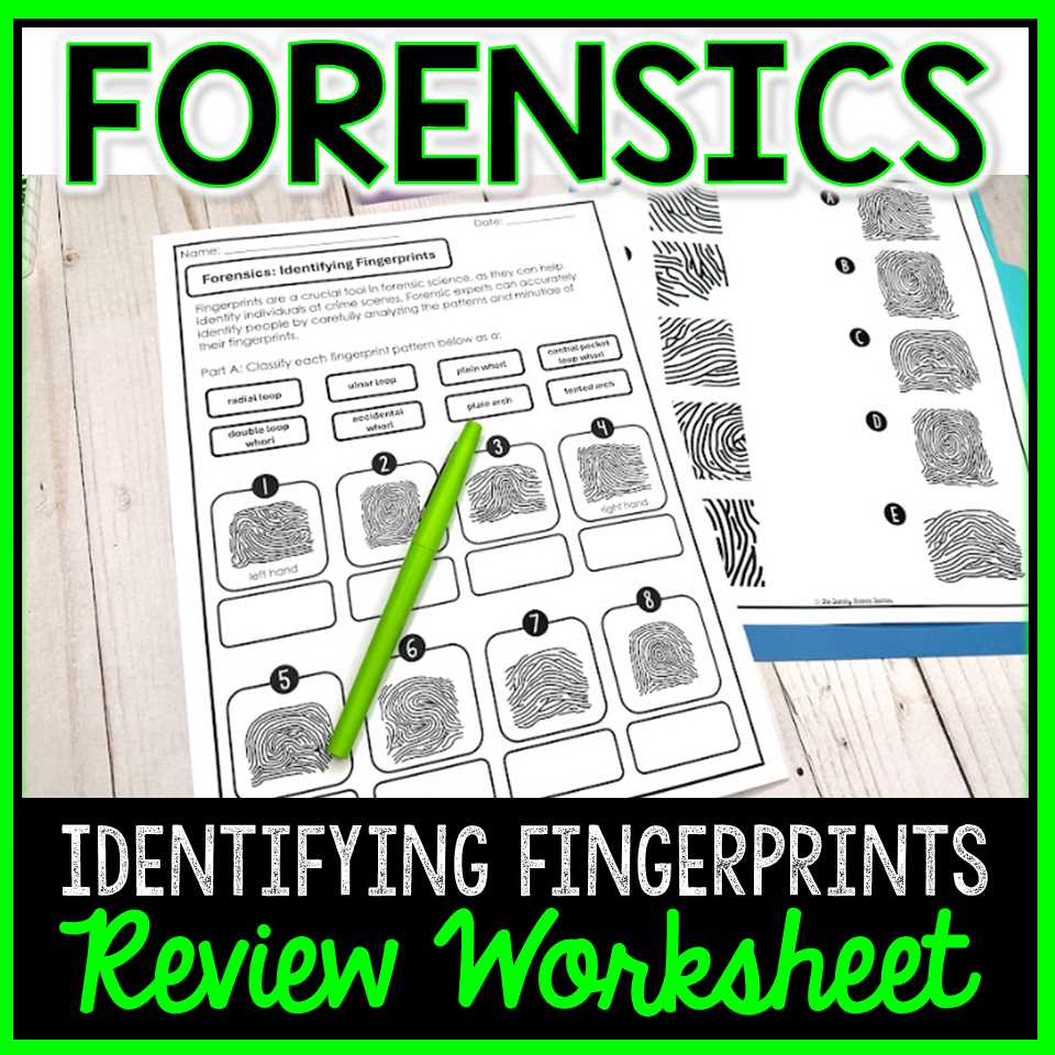 fingerprint identification simplified worksheet