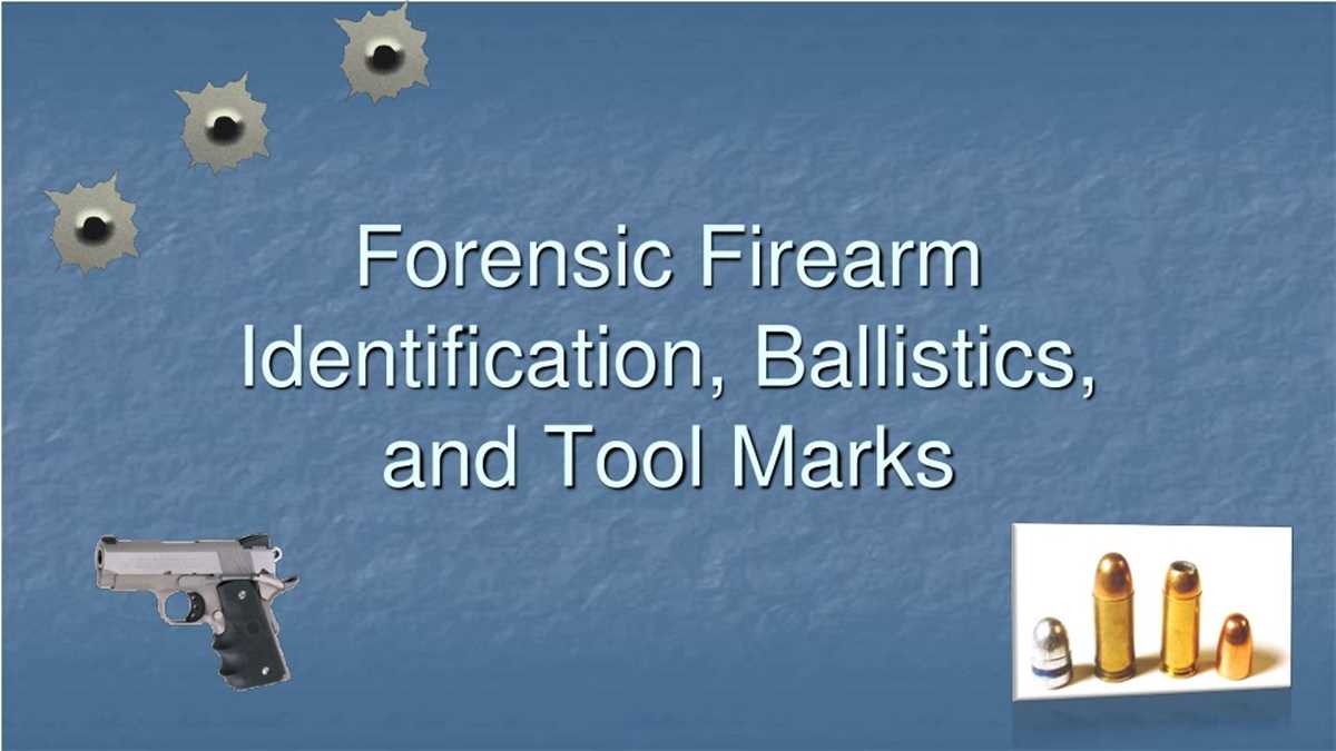 firearms and trajectory worksheet
