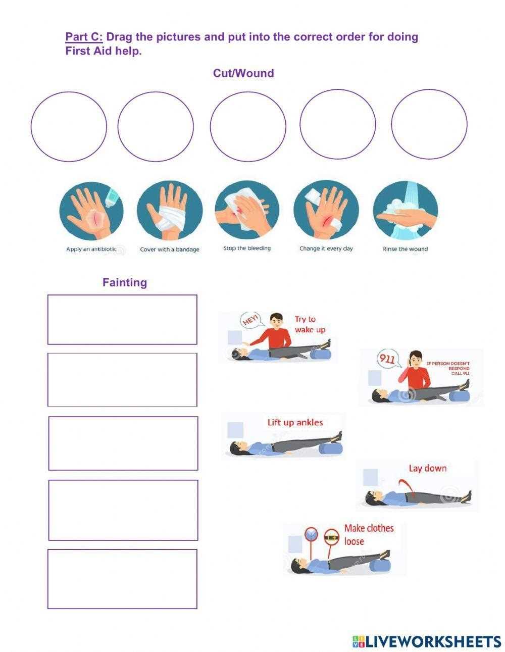first aid worksheets for students