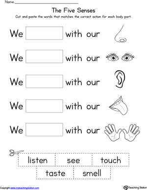 five sense worksheet