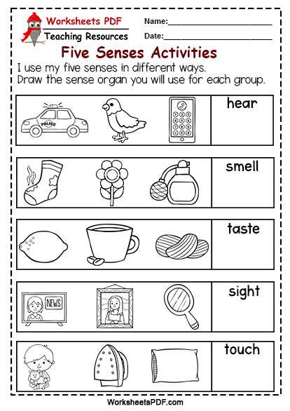 five sense worksheet