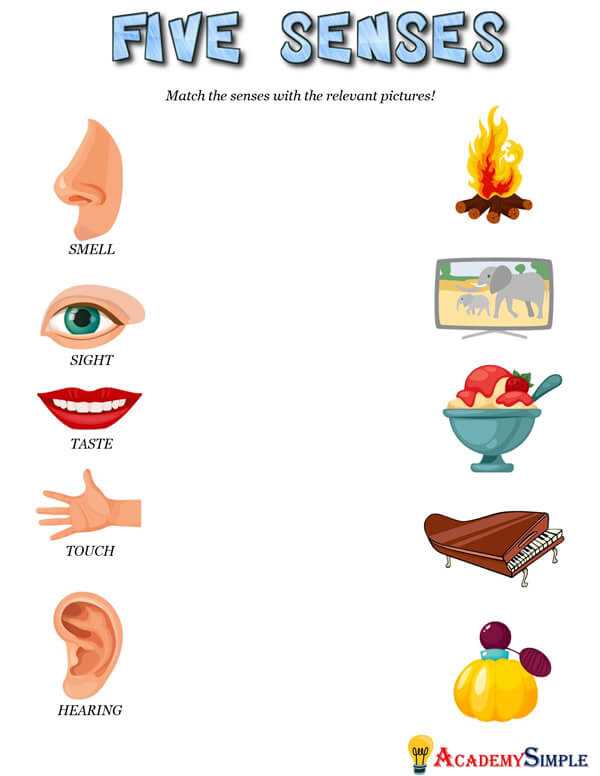 five senses worksheet for grade 1
