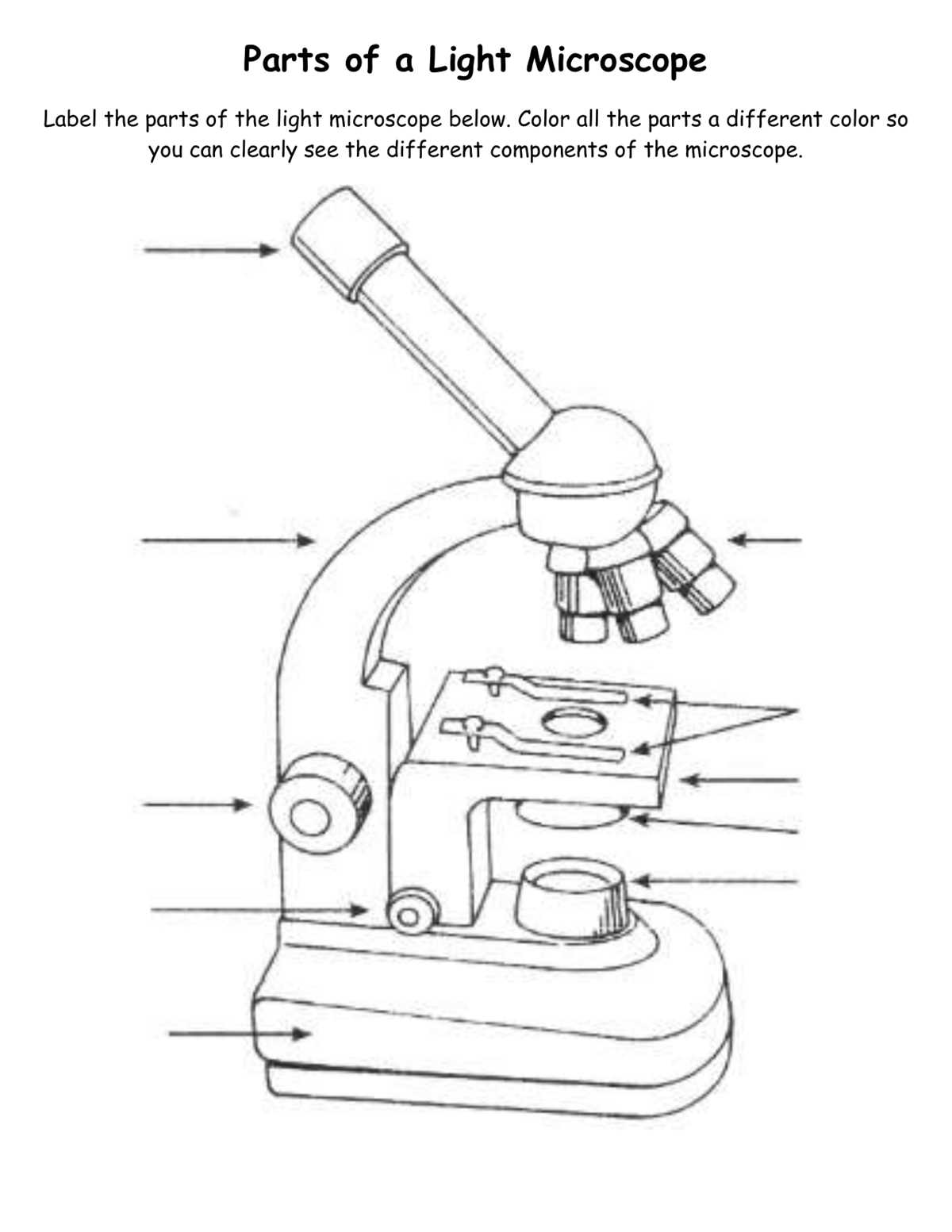 label the microscope worksheet