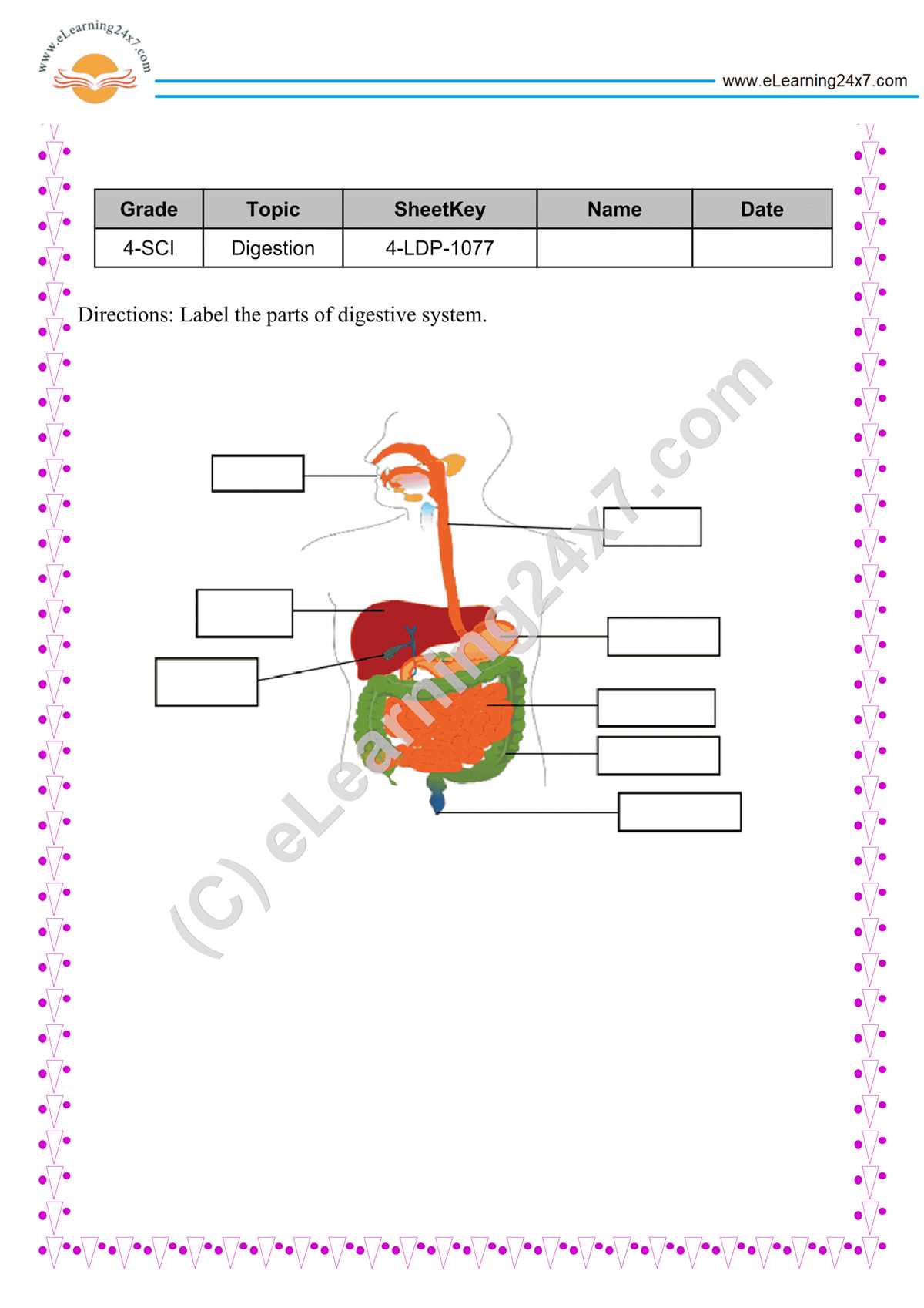 food and digestion class 4 worksheets