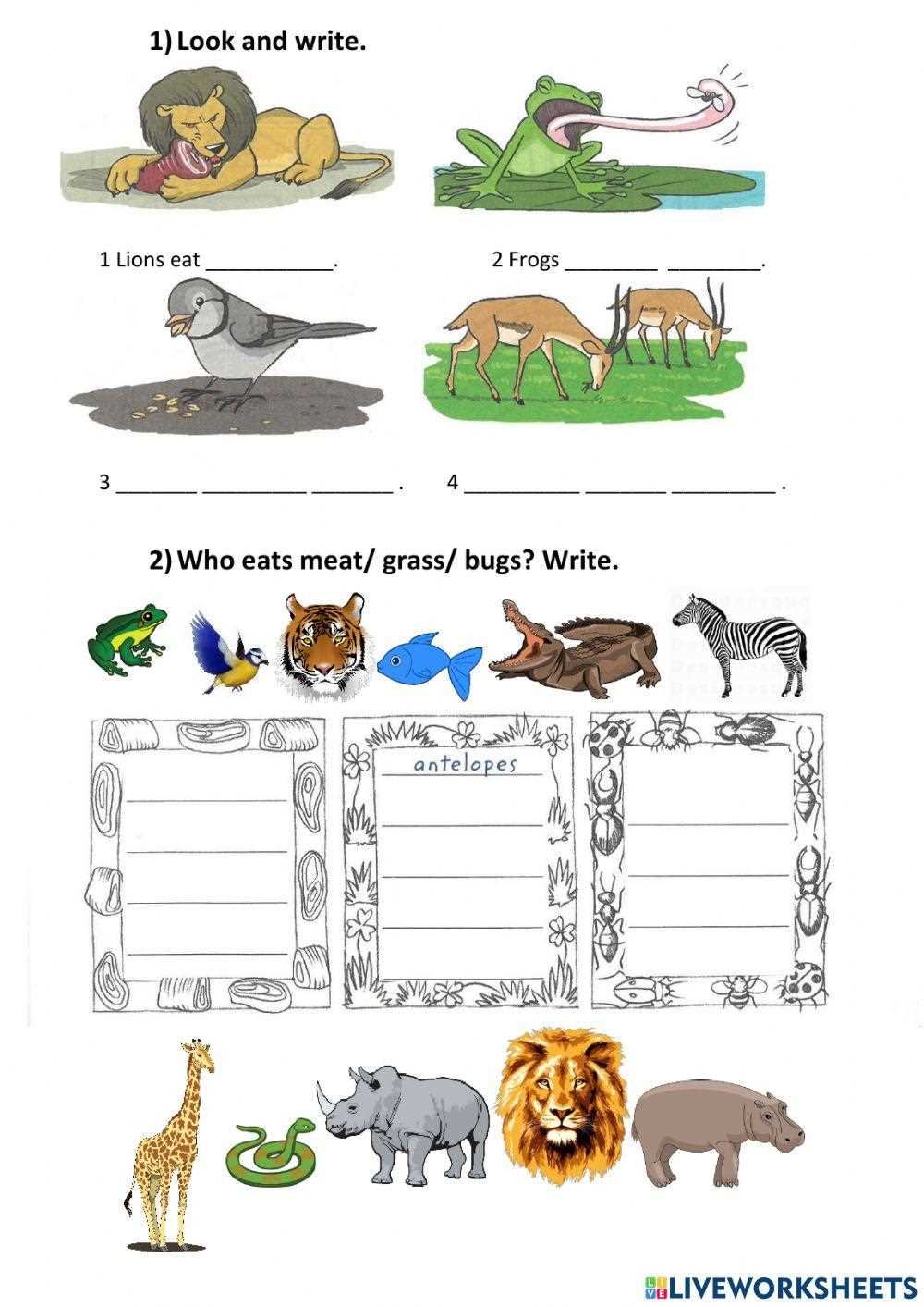 food animals eat worksheet