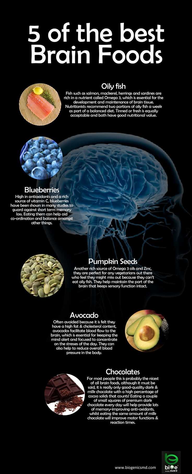 food delicious science food on the brain worksheet