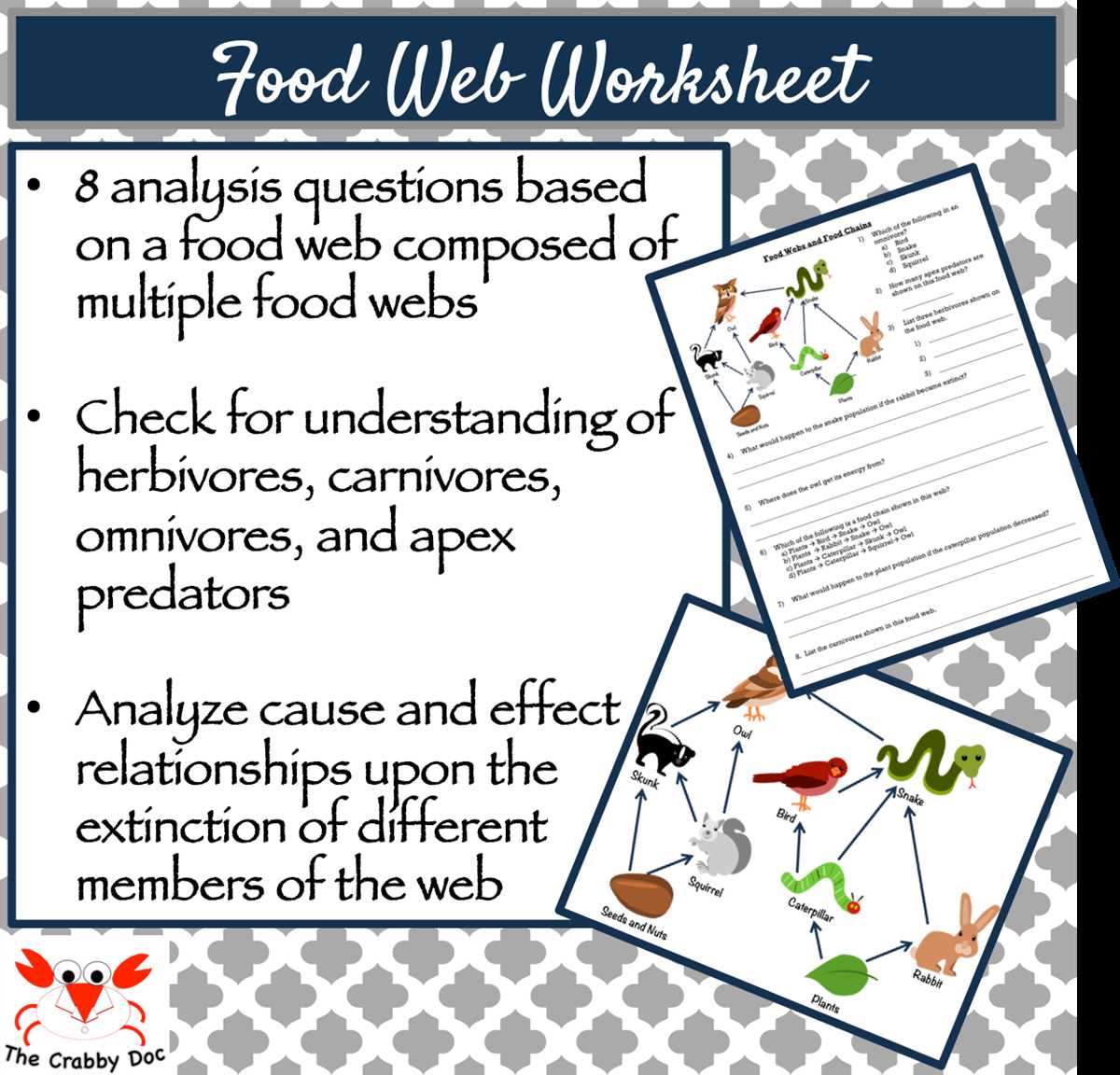 food webs ks2 worksheet