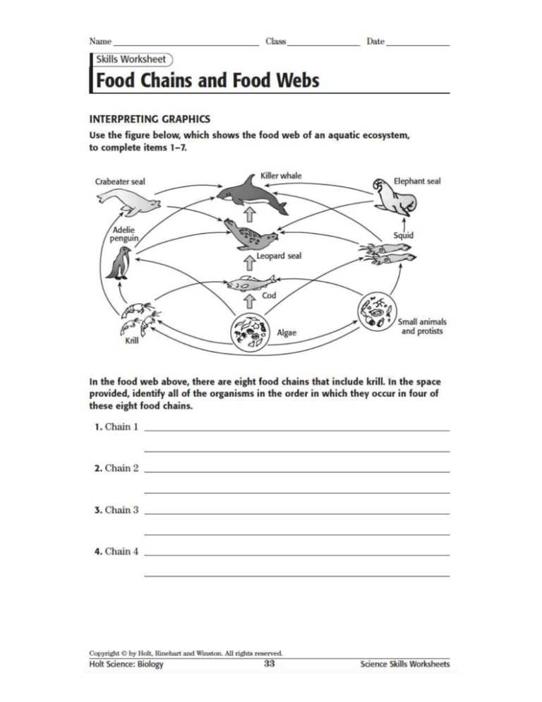 foodchain worksheet