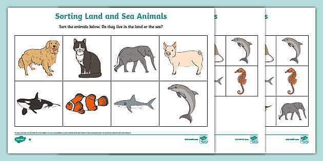foreigners in their own land worksheet