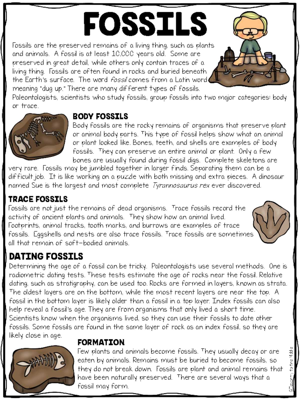 fossil record worksheet