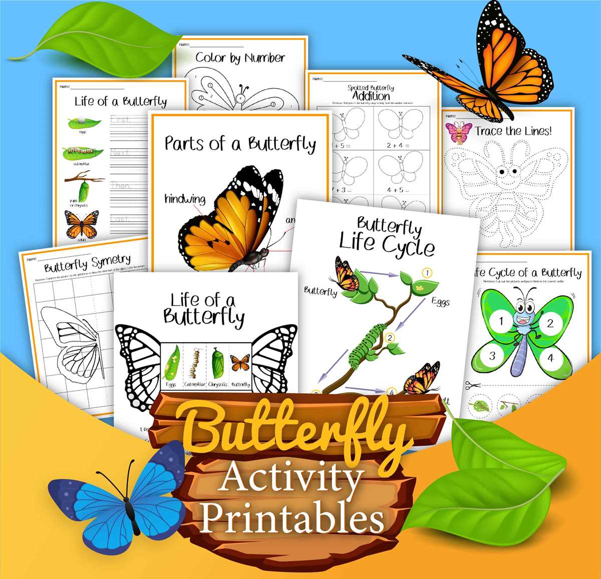 free life cycle of a butterfly worksheet