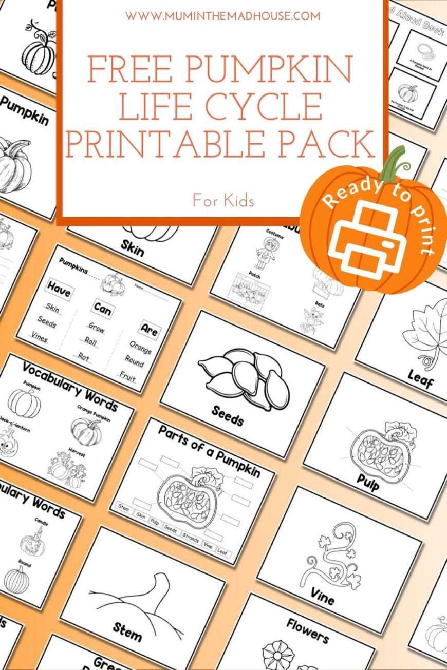 free life cycle of a pumpkin worksheet