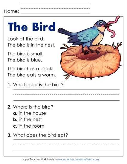 free printable bird worksheets for preschoolers