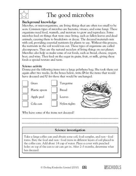 free science worksheets for 5th grade