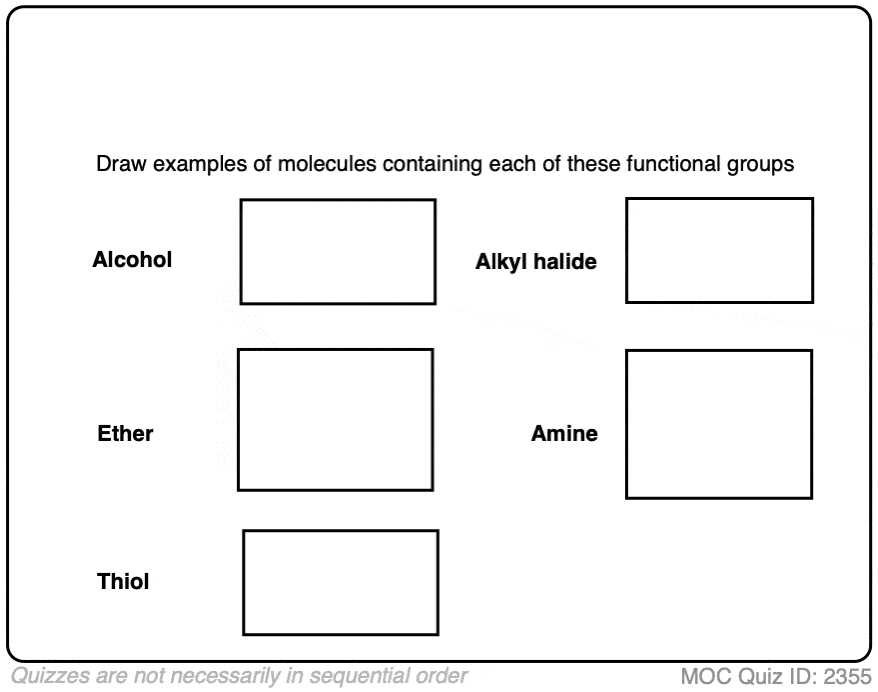 identify functional groups worksheet
