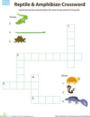 amphibian worksheets