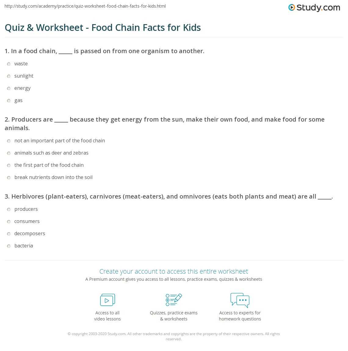 food chain worksheets for kids